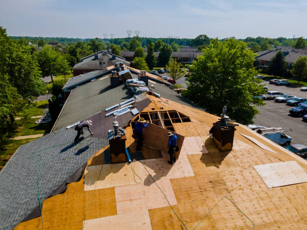 Trusted Storm Damage Roof Repair service in Taylor, AZ - Brentwood Metal Roofing